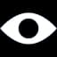 Vision icon