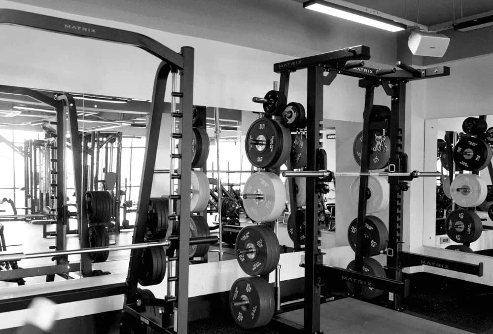 Gym & Fitness