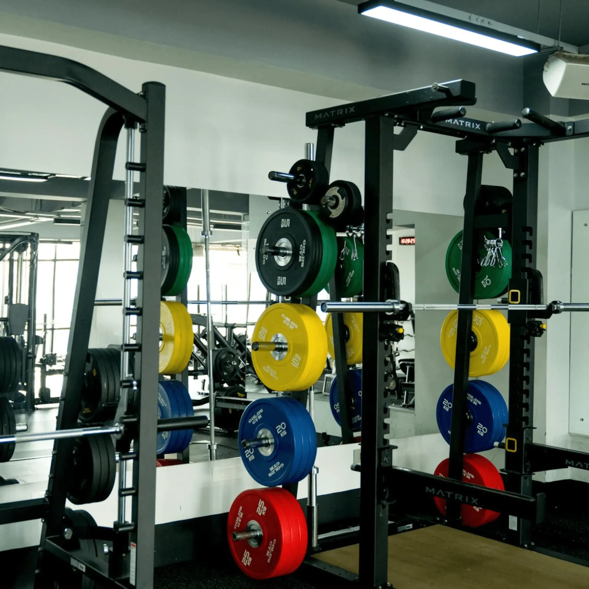 Gym & Fitness