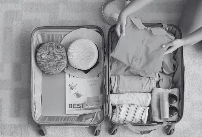 Luggage